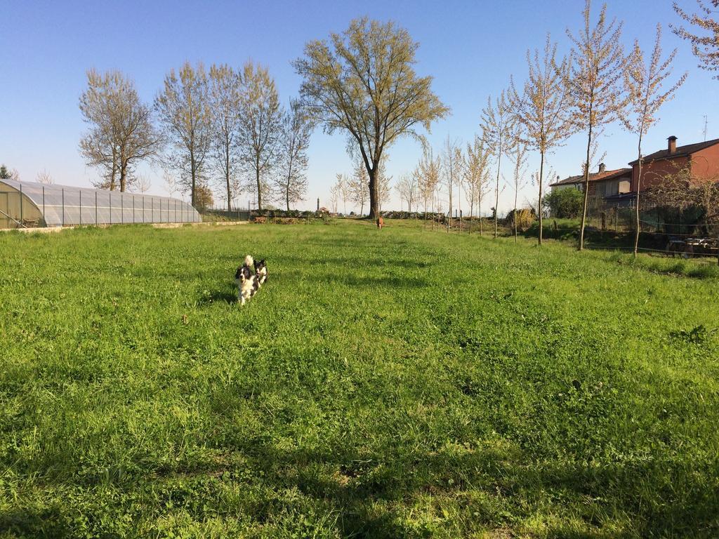 Yoghi & Bubu Apartman Gambolò Kültér fotó